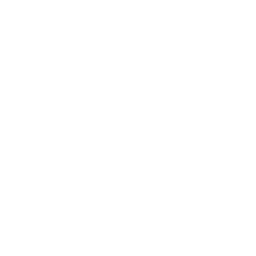 Wild & Free Festival